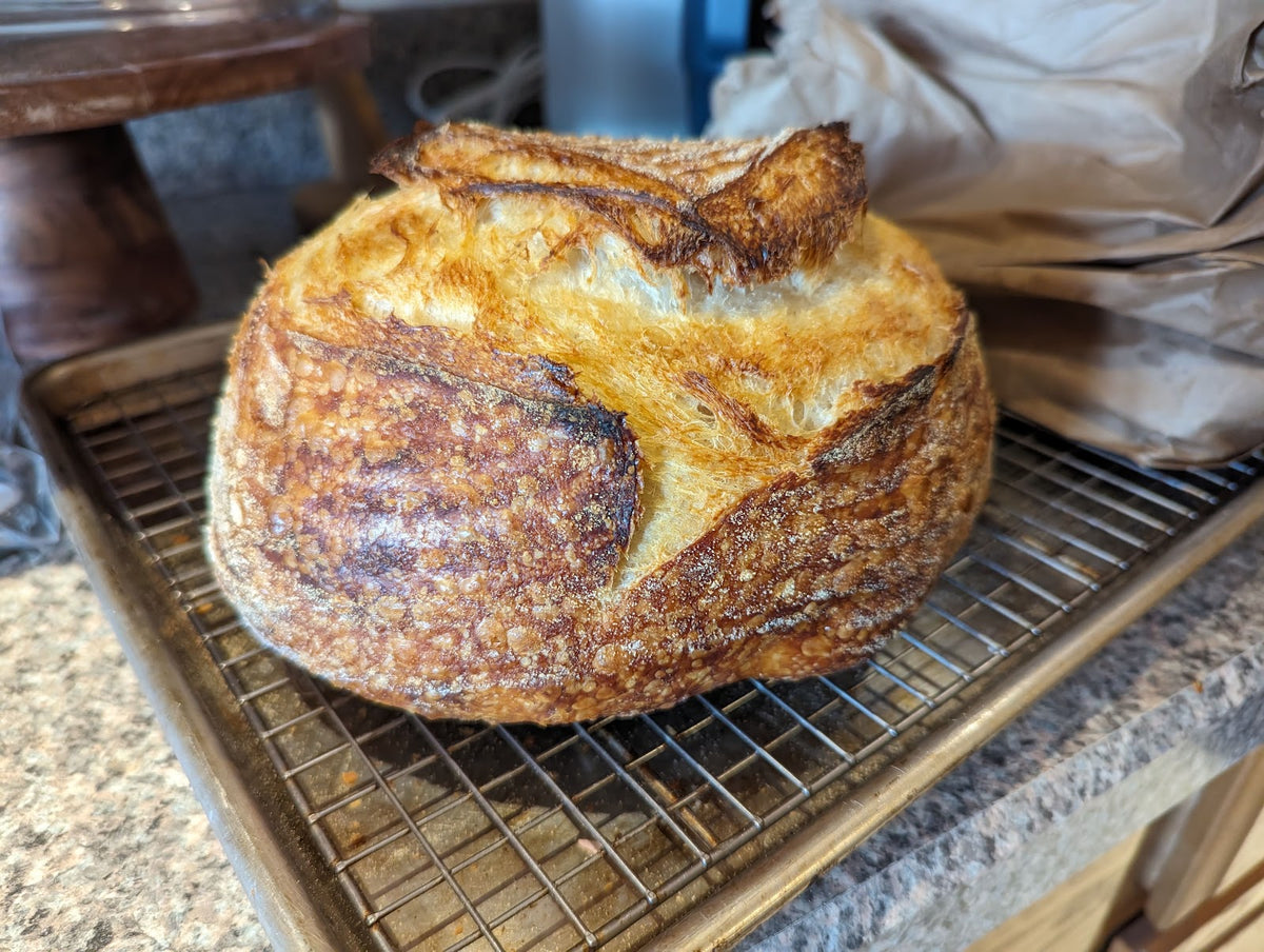 Will's sourdough boule, whole loaf
