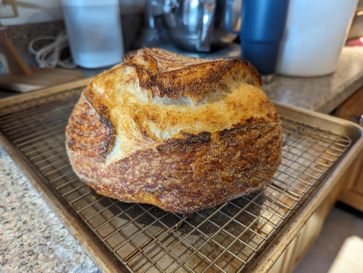 Sourdough boule with scored crust