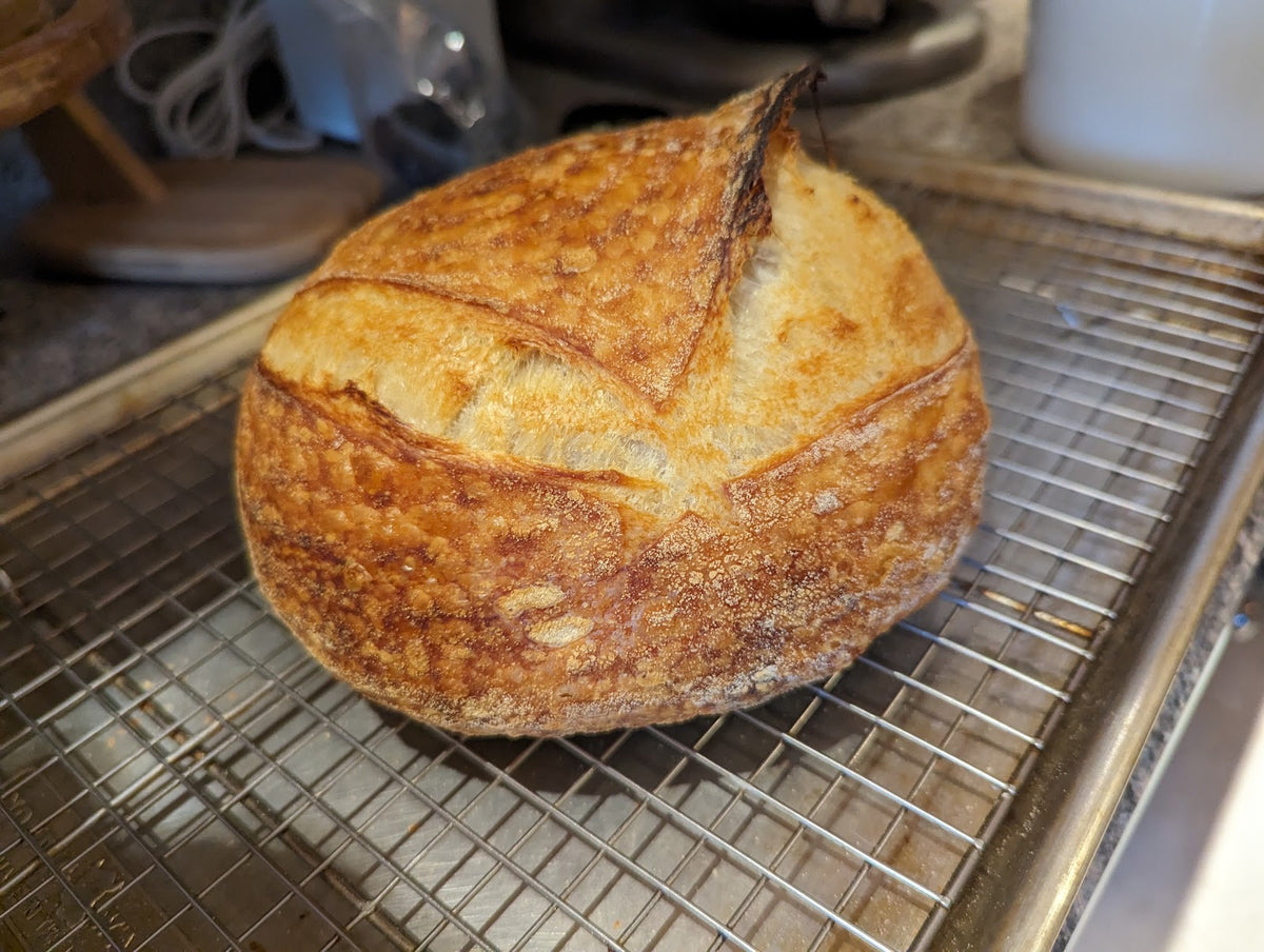 Freshly baked sourdough boule