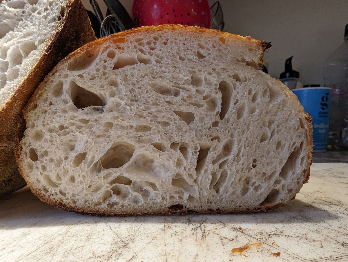Close-up of sourdough crumb
