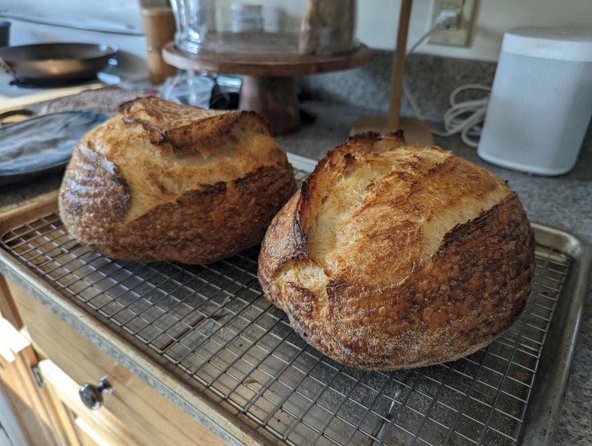 Two sourdough boules cooling