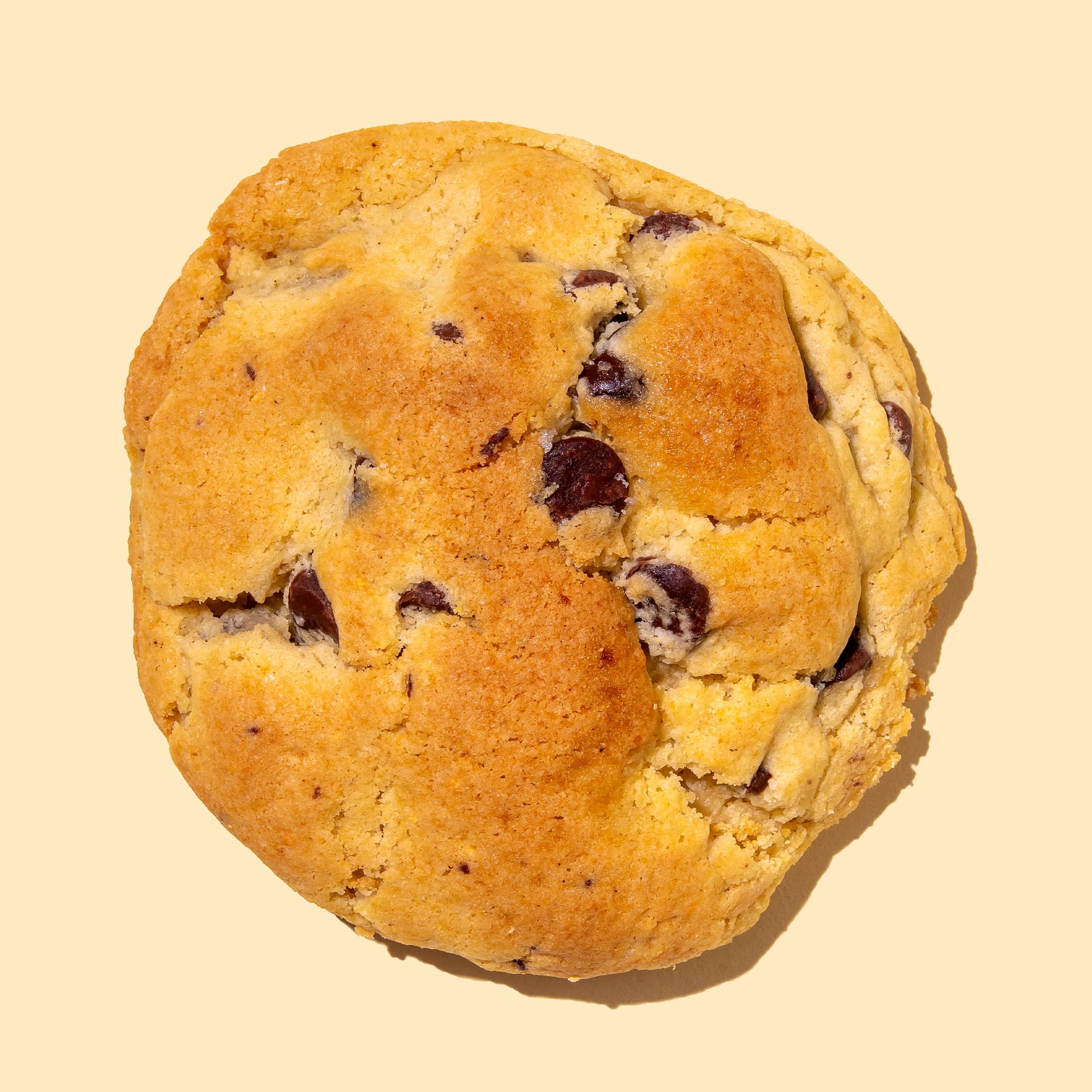 Chocolate Chip